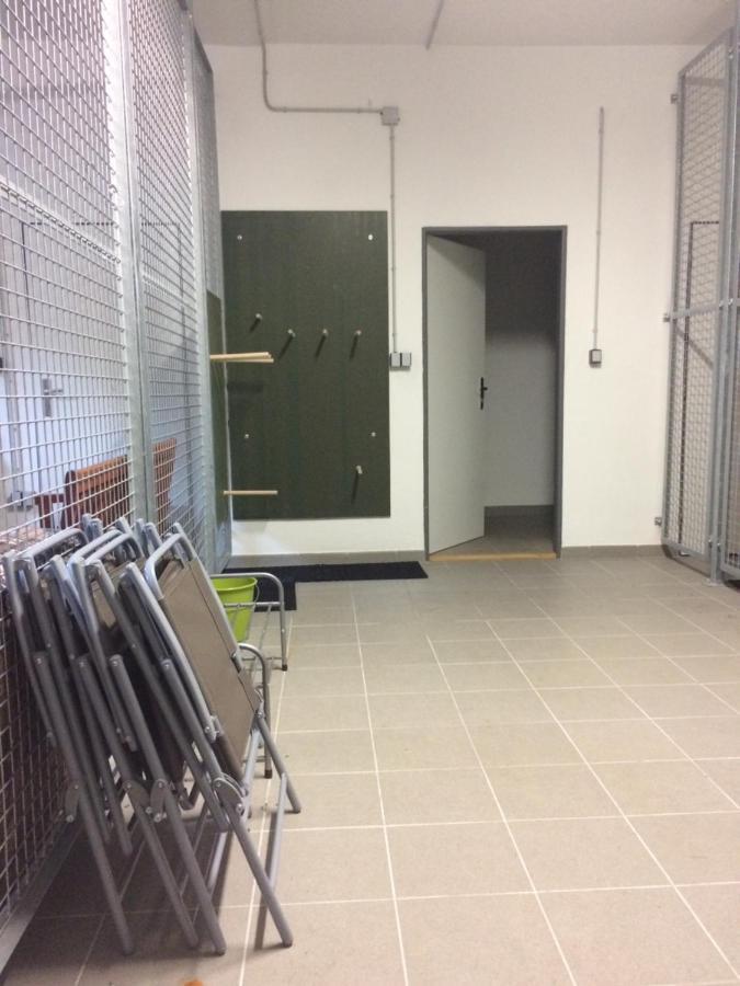 Apartman V Zeleni Dolna Morawa Zewnętrze zdjęcie